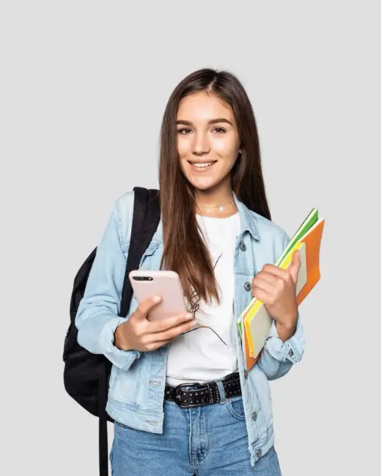 Profesional de Diseño UI/UX